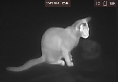 Capture.JPG (26.53 KiB) Viewed 2672 times Capture.JPG